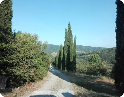Test carosello 1