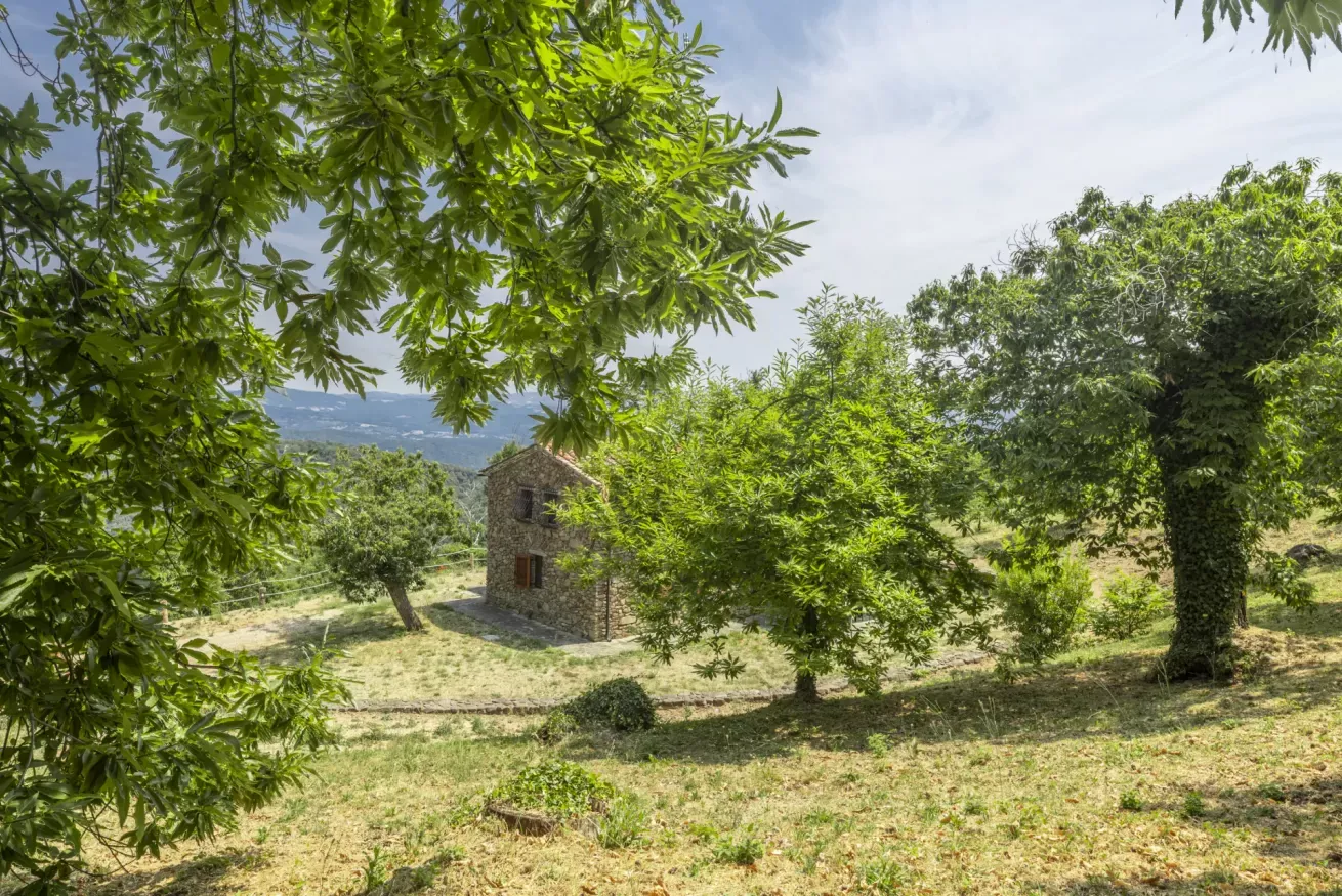 01-casetta-la-rossina-esterno-tra-alberi