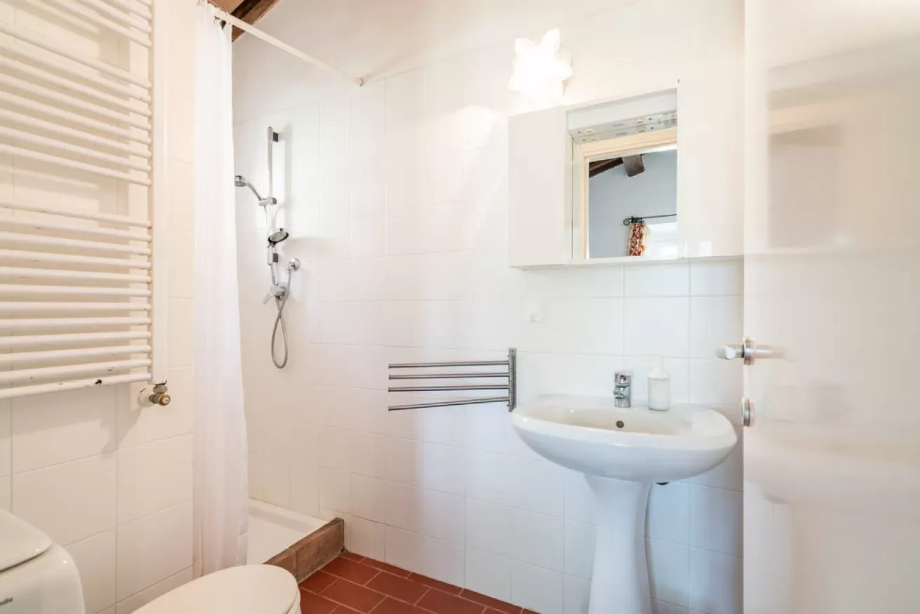 Small white bathroom with shower, pedestal sink, mirror cabinet, and towel radiator