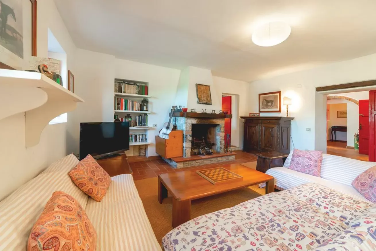 Living room with sofas, coffee table, fireplace, bookshelves, and a TV