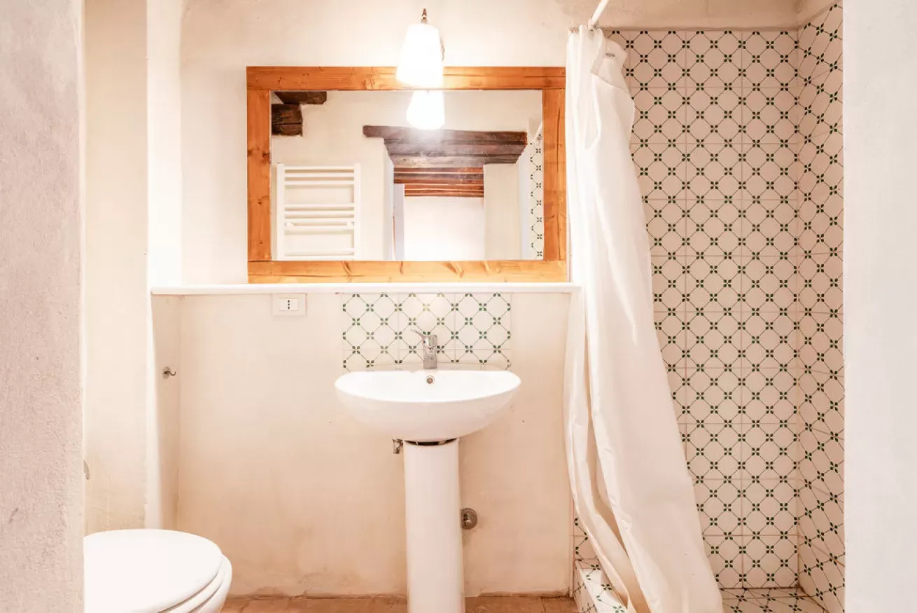Bathroom with pedestal sink, mirror, toilet, and tiled shower with curtain