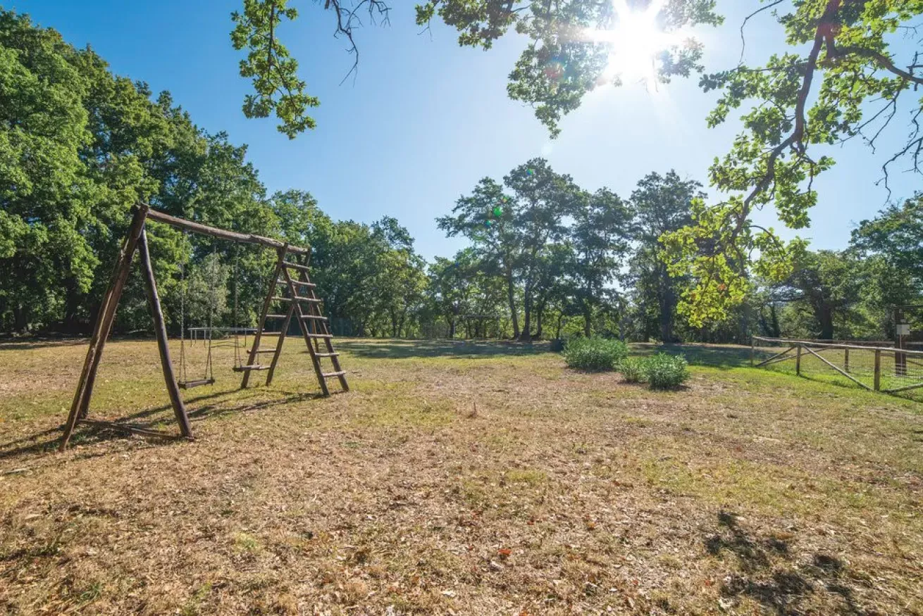 Wooden swing set in a sunny grassy park surrounded by trees