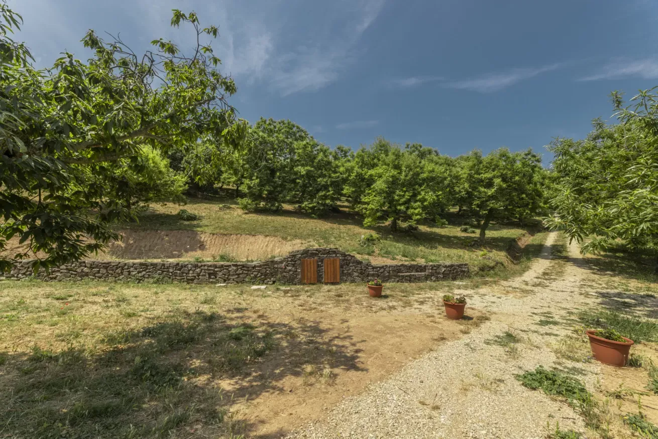 48-casetta-la-rossina-area-esterna-ghiaia