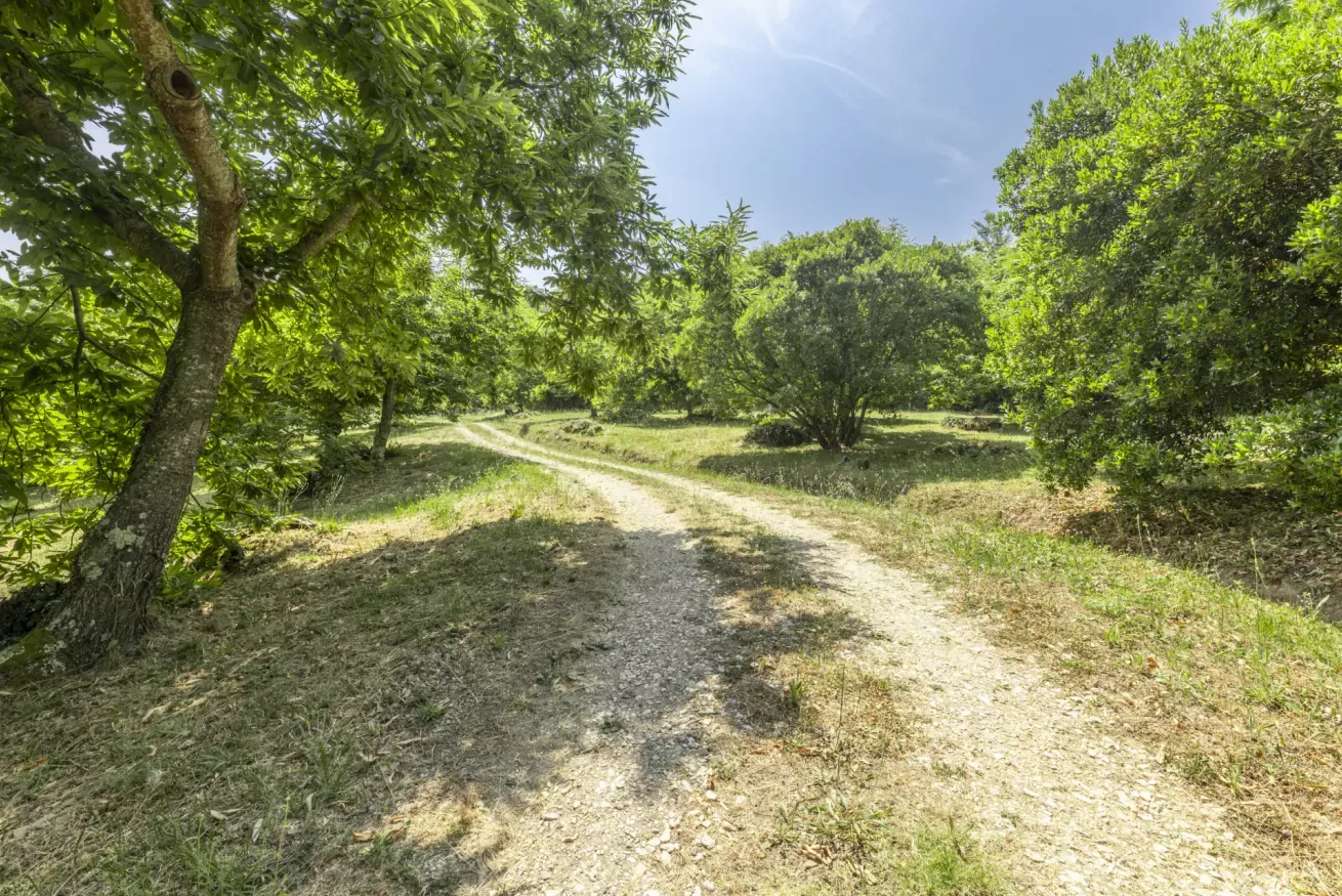 50-casetta-la-rossina-strada-bianca-ingresso