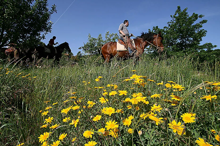 cerreta-passeggiata-cavallo-natura