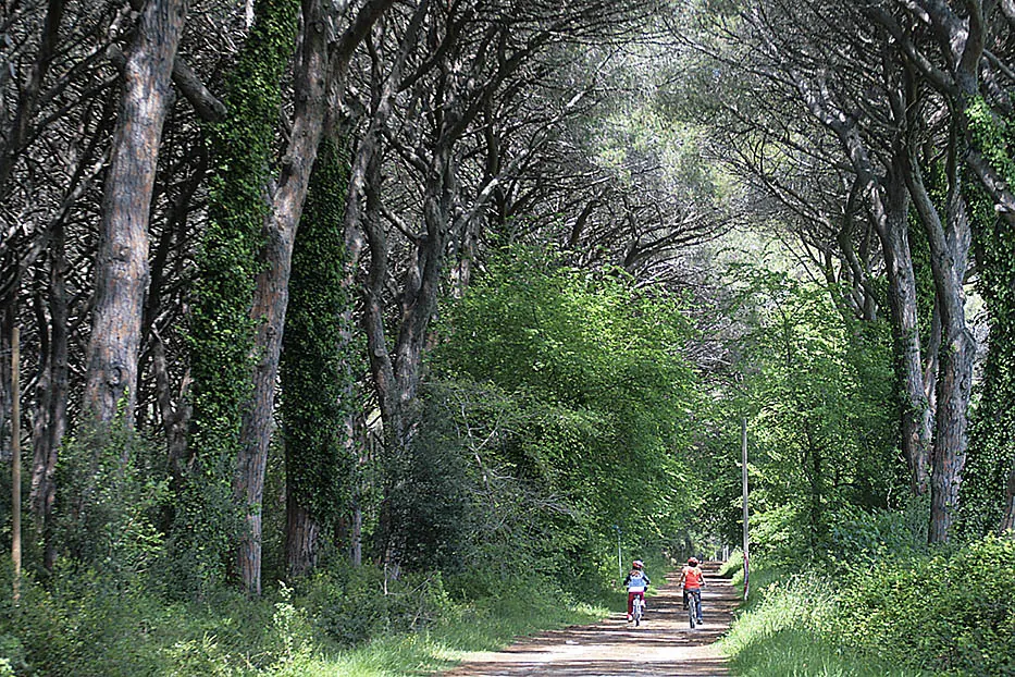 donoratico-pineta-percorso-natura