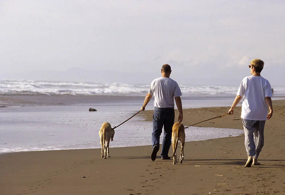 marina-di-donoratico-spiaggia-cani