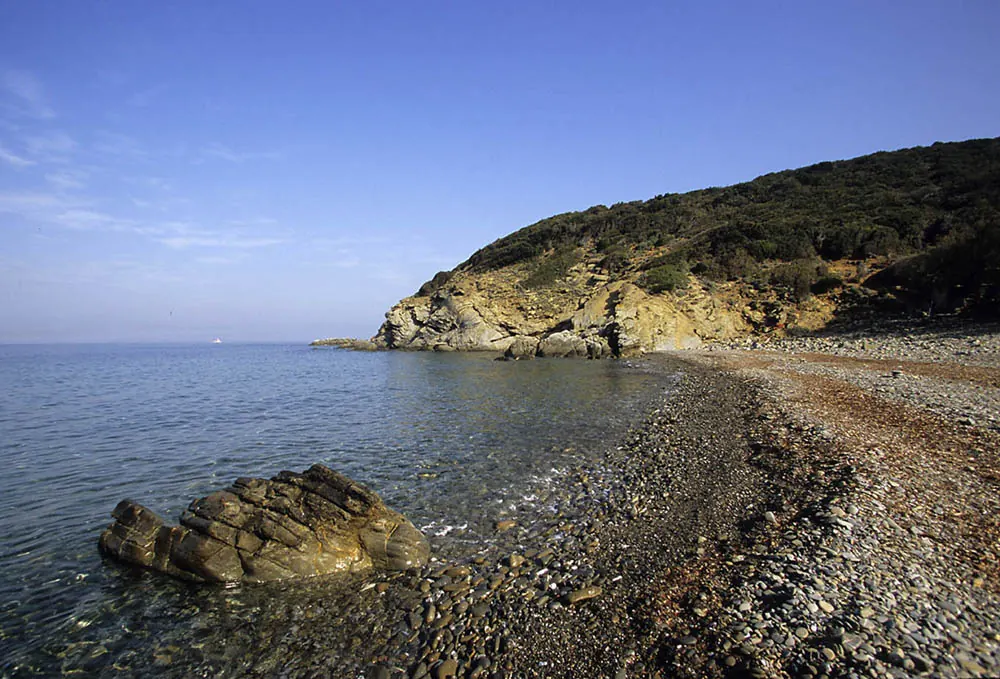 piombino-cala-scogliera-mare